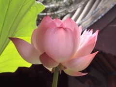 -自贡市盐业历史博物馆