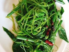 -云里小坐·小院里·团建·宴请·下午茶(三圣乡店)
