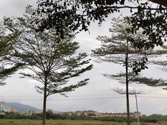 -亚龙湾国际玫瑰谷