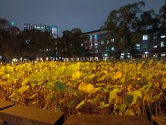 -四川大学(望江校区)