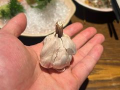 -鸟屯(三里屯店)