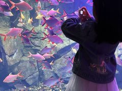 -泉城欧乐堡海洋极地世界