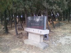 -泰山风景名胜区-普照寺