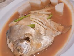 鲳鱼烧年糕-新荣记(新源南路店)