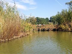 矮桥-梁鸿国家湿地公园