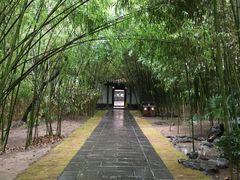 -包公祠
