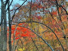-本溪老边沟风景区