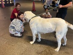 -汪说喵讲宠物乐园宠物酒店(红星美凯龙店)