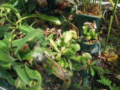 -国家植物园南园