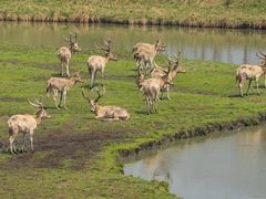 -溱湖国家湿地公园