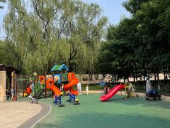 -永定河休闲森林公园