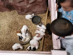 -太阳岛度假酒店