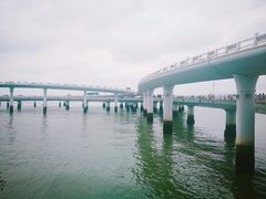 -演武大桥观景平台