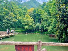 -大奇山国家森林公园