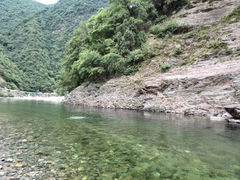 android_upload_pic-黑河国家森林公园