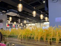 -小肥牛潮汕牛肉火锅(南联店)
