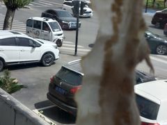 -老白肉馆(临江小区店)