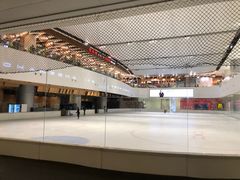 -TheRink大零溜冰场(IFS国金中心店)