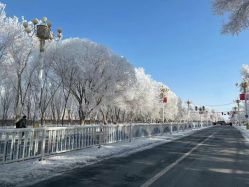 -姜美堂·蒸姜除湿の纤体美颜馆