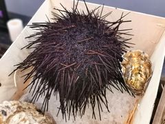 -HIHE Bistro·Oyster Bar(华熙live店)