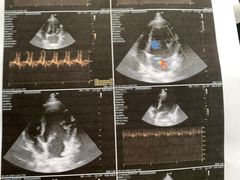 -安安宠医·安宠宠物医院