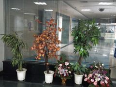 -江南大学附属医院(北院区)