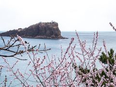 -棒棰岛宾馆景区