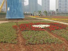 -爱丽丝仙境花海