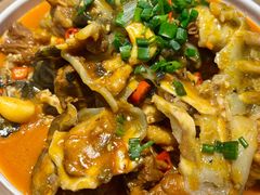 黄焖甲鱼焖土鸡-洞庭家宴·头牌甲鱼(广渠门店)