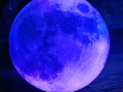 -重庆梵高星空艺术馆(解放碑旗舰店)