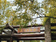 -杭州植物园