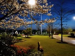 -市民服务中心大楼