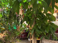 -慢丽江·云南野生菌土鸡锅(付家庄店)