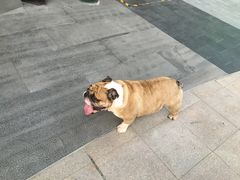 -木木不哭电竞馆(龙湖时代汇店)