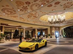 -拉斯维加斯永利酒店