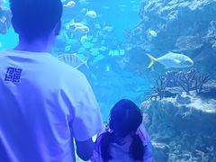 -海合安成都极地海洋公园