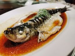 长江青波-尽膳·鱼鲜川菜(宽窄巷子店)