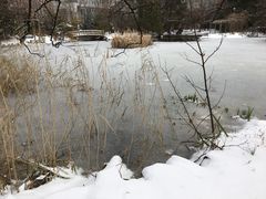 -北海道厅旧本厅舍(旧本庁舎)