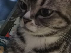 -美联众合24小时·皮肤科·外科·全科诊疗中心(华苑分院)