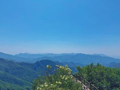 -大岭沟猕猴桃谷风景区