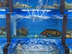 水产区-桔子海鲜烧烤大排档(金沙滩店)