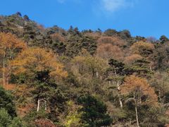 -东天目山风景区