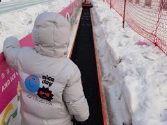 -沈阳奥体冰雪嘉年华