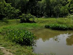 -白鹭湾湿地公园