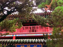 -蓬莱阁景区