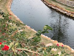 -西涌国际滨海旅游区