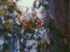 -济南轻骑摩托车有限公司(和平路)