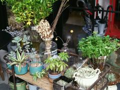 android_upload_pic-RGF(巨鹿路店)