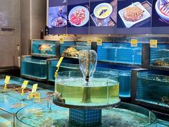 -梦都海鲜酒家(万达广场江桥店)