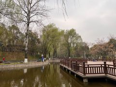 -西安市长乐公园